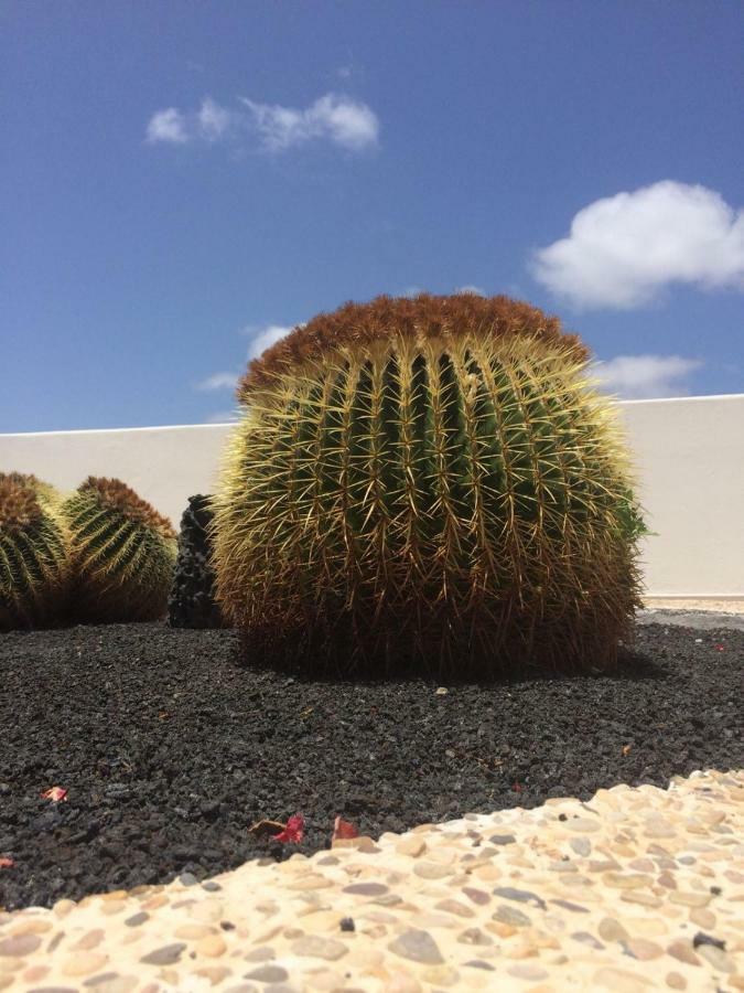 Los Panelos B1 Puerto del Carmen  Luaran gambar